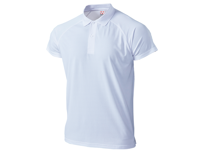 T-shirt, Custom Printing, Cotton, Hitprintasia, printstar, organic, Polo