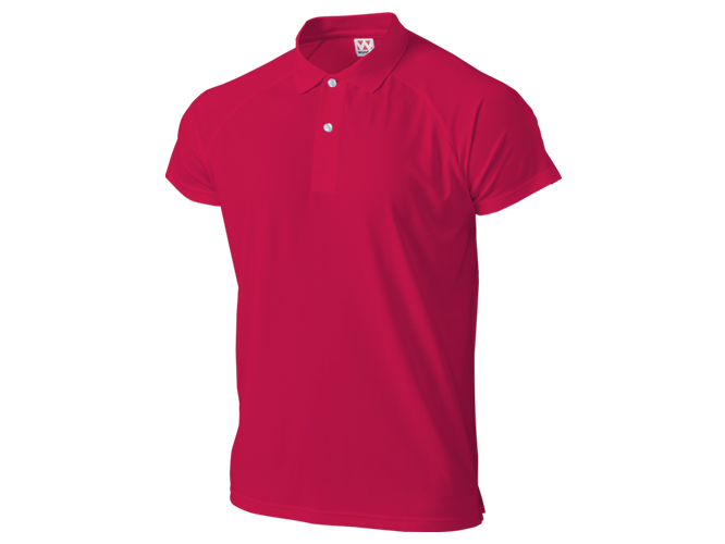 T-shirt, Custom Printing, Cotton, Hitprintasia, printstar, organic, Polo