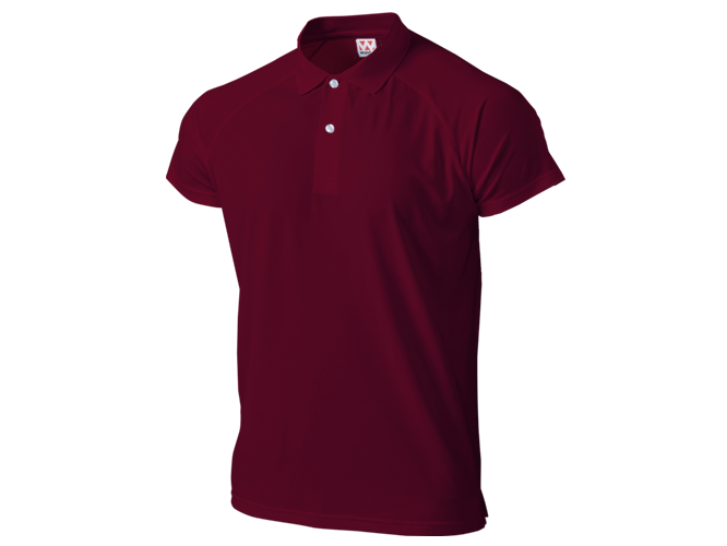 T-shirt, Custom Printing, Cotton, Hitprintasia, printstar, organic, Polo