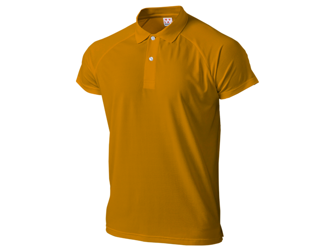 T-shirt, Custom Printing, Cotton, Hitprintasia, printstar, organic, Polo