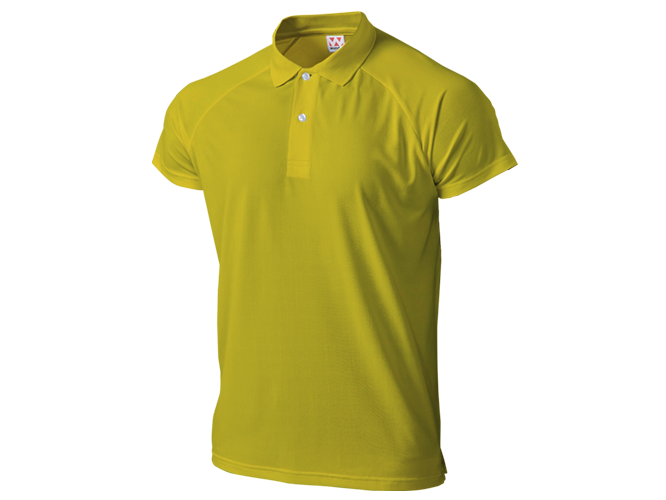 T-shirt, Custom Printing, Cotton, Hitprintasia, printstar, organic, Polo