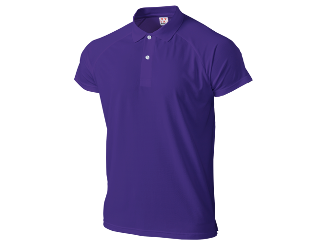 T-shirt, Custom Printing, Cotton, Hitprintasia, printstar, organic, Polo