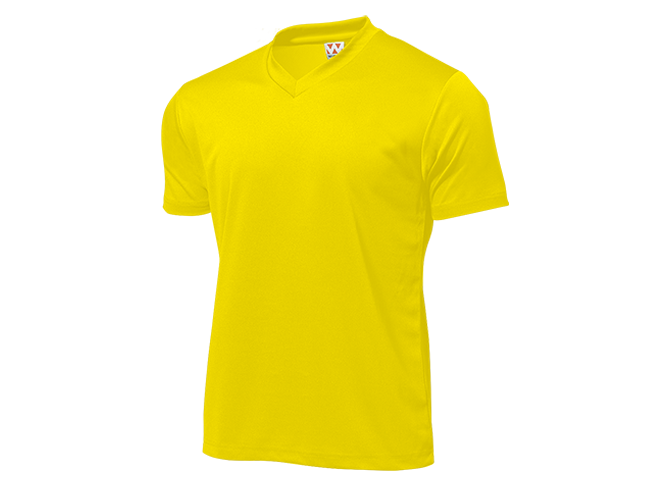T-shirt, Custom Printing, Cotton, Hitprintasia, printstar, organic, Polo
