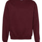 CHAMPION [S600] DOUBLE DRY CREWNECK PULLOVER SWEATSHIRT/ 美規高磅數大學衛衣