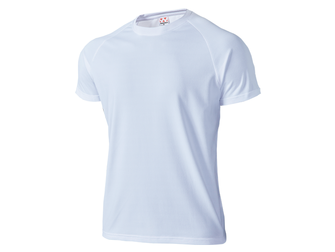 T-shirt, Custom Printing, Cotton, Hitprintasia, printstar, organic, Polo