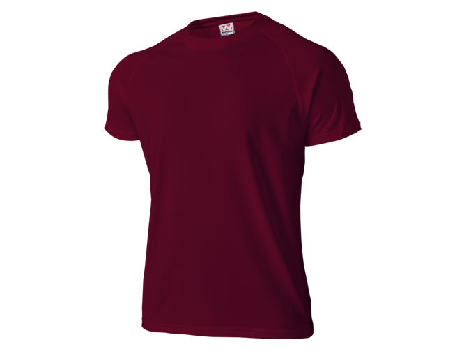 T-shirt, Custom Printing, Cotton, Hitprintasia, printstar, organic, Polo