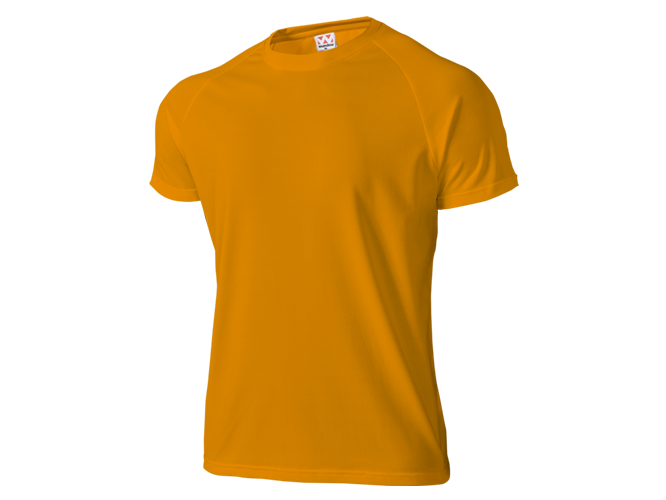 T-shirt, Custom Printing, Cotton, Hitprintasia, printstar, organic, Polo