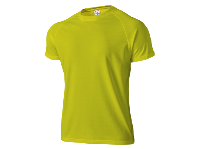 T-shirt, Custom Printing, Cotton, Hitprintasia, printstar, organic, Polo
