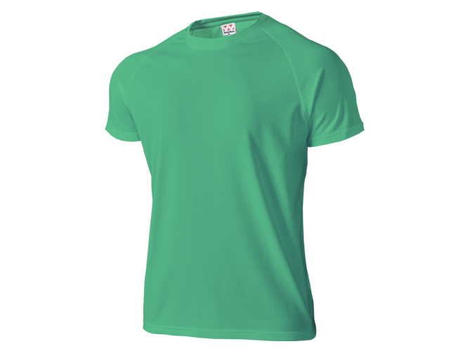 T-shirt, Custom Printing, Cotton, Hitprintasia, printstar, organic, Polo