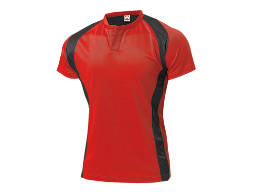 T-shirt, Custom Printing, Cotton, Hitprintasia, printstar, organic, Polo